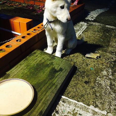 Geoje Ton Ton Guesthouse エクステリア 写真